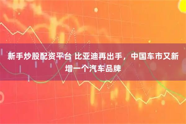 新手炒股配资平台 比亚迪再出手，中国车市又新增一个汽车品牌