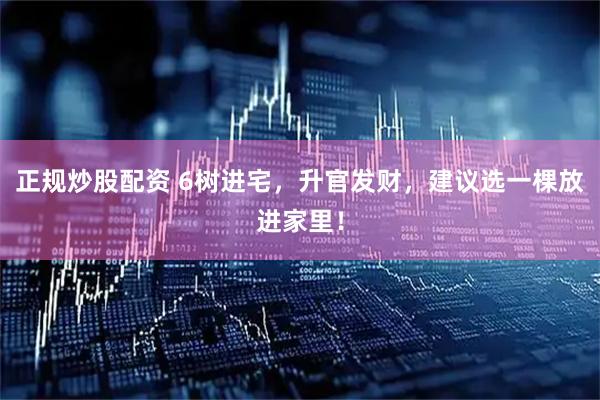 正规炒股配资 6树进宅，升官发财，建议选一棵放进家里！